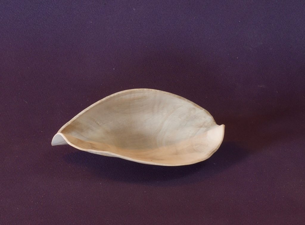 Image of eucalyptus bowl